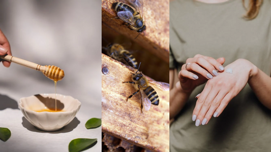 Why our Tallow & Honey Balm is the best seller!